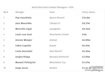 2014世界足球教练高薪排行榜