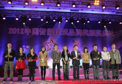 2012年度中国十大系统集成商品牌奖