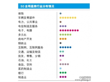 2013最受赞赏的中国公司排行