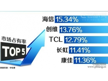 2013年中国电视机市场销量及品牌占有率排行榜