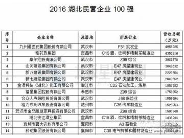2016湖北民营企业100强排行榜（全榜单）