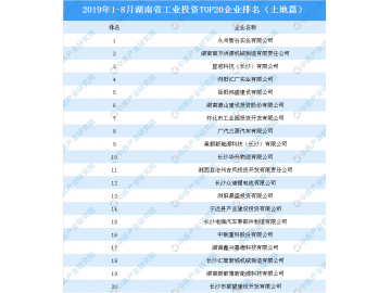 2019年1-8月湖南省工业投资TOP20企业排名