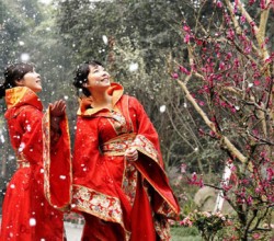 盘点中国最美的十大梅花园