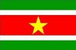 苏里南人口数量2015